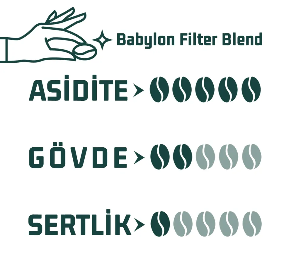 Haldia Babylon Filtre Blend Kahve 1000 gr.